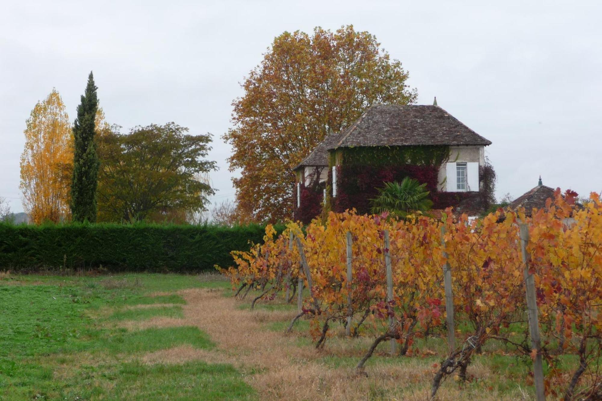 Domaine De La Queyssie Bed and Breakfast Saussignac Exteriör bild