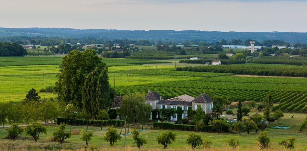 Domaine De La Queyssie Bed and Breakfast Saussignac Exteriör bild